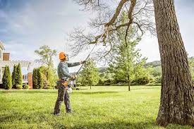 Best Tree Health Inspection  in Englishtown, NJ