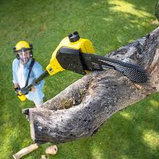 Best Tree Mulching  in Englishtown, NJ