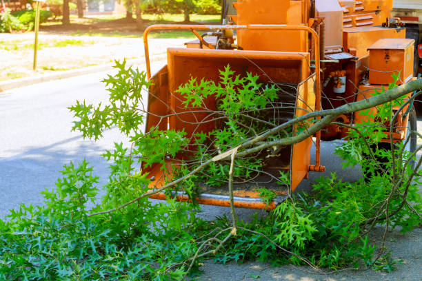 Best Sod Installation  in Englishtown, NJ