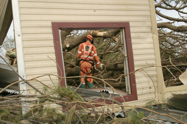 Best Tree and Shrub Care  in Englishtown, NJ